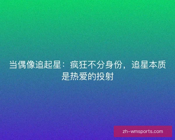 当偶像追起星:疯狂不分身份,追星本质是热爱的投射 当偶像追起星:疯狂不分身份,追星本质是热爱的投射