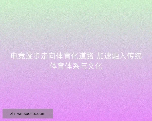电竞逐步走向体育化道路 加速融入传统体育体系与文化 电竞逐步走向体育化道路 加速融入传统体育体系与文化