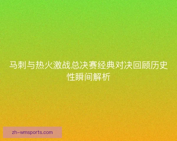 马刺与热火激战总决赛经典对决回顾历史性瞬间解析