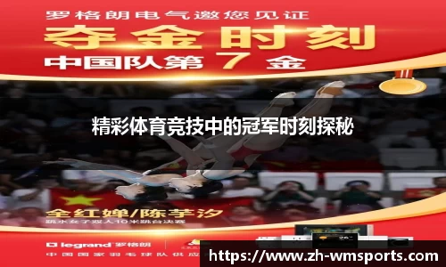 完美体育
