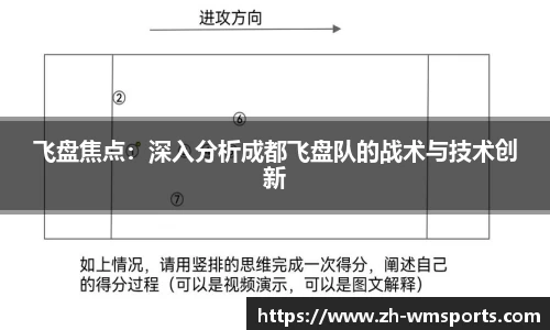 飞盘焦点：深入分析成都飞盘队的战术与技术创新